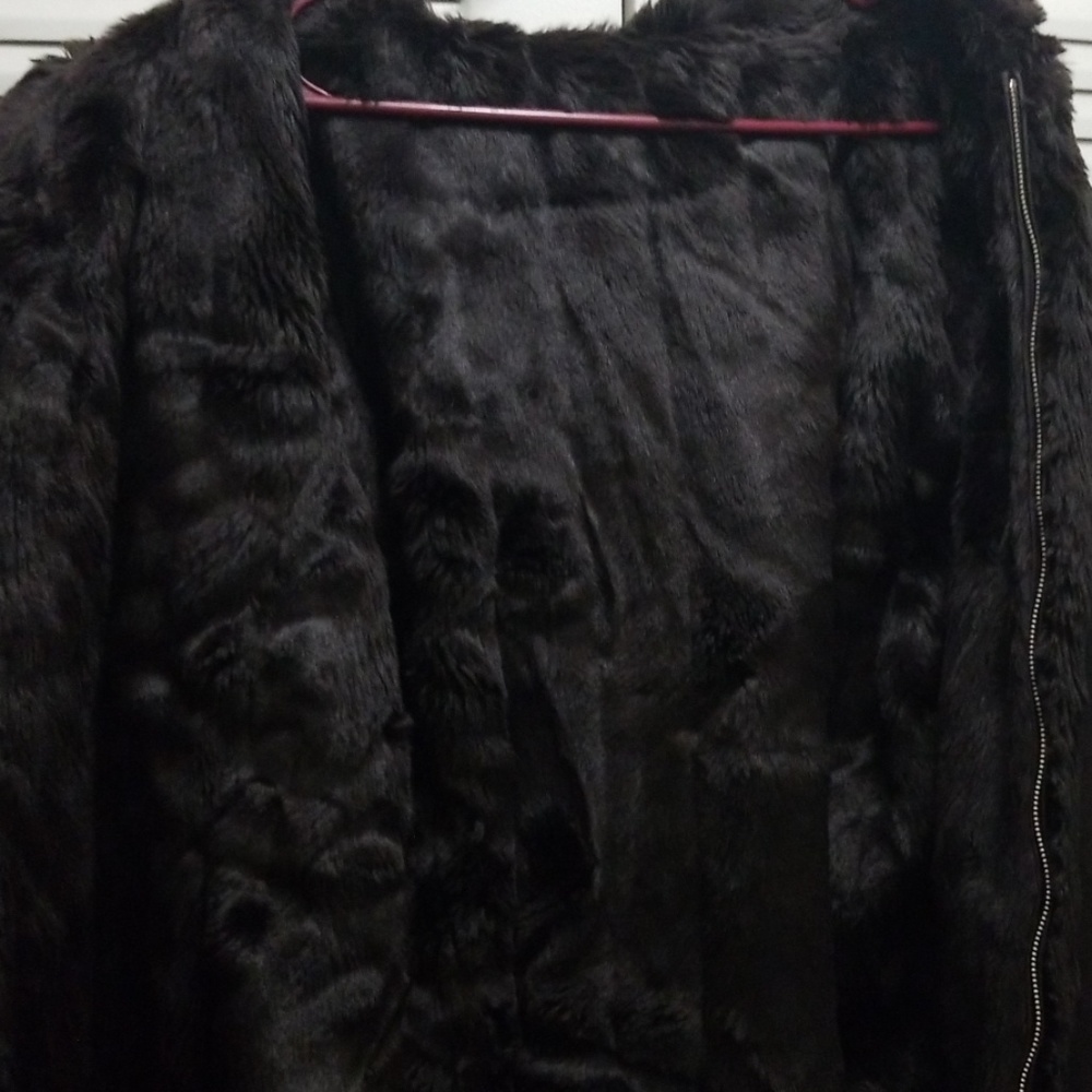 Jacket - Picture 3 of 5